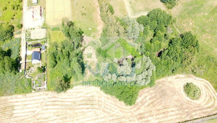 Działka Sprzedaż Kuriany