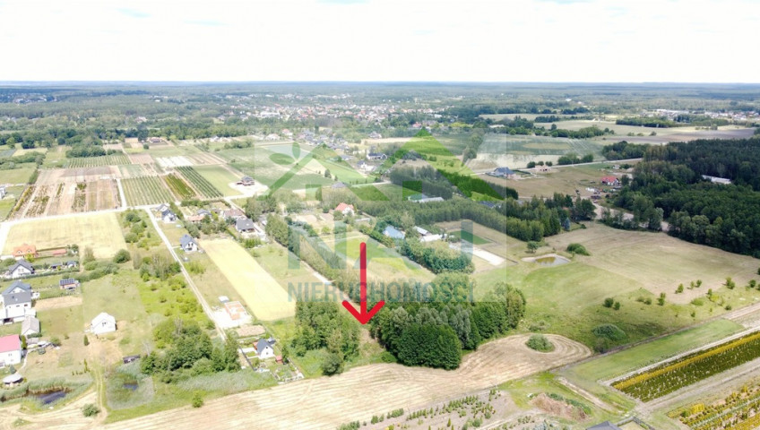Działka Sprzedaż Kuriany