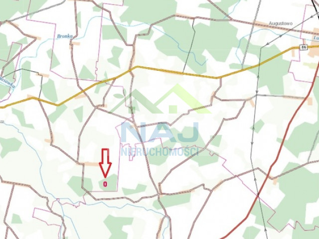 Działka leśna w gminie Brańsk